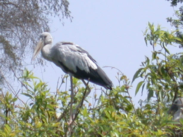 DSCN0580