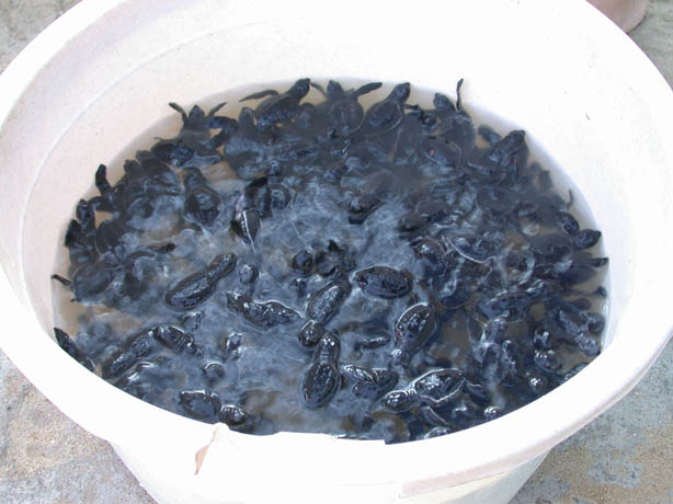 DSCN3213