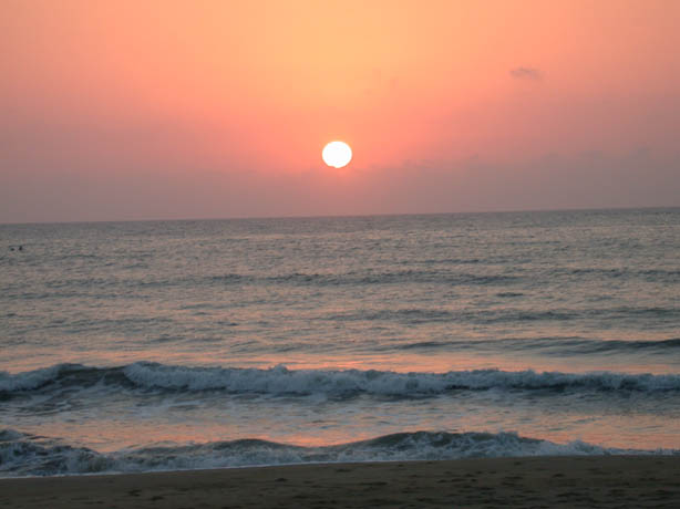 DSCN3406