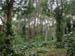 DSCN3507