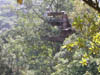 DSCN2408