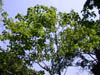 DSCN2422