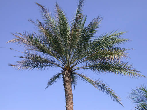 DSCN2245