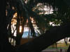 DSCN2209