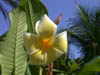 DSCN2244