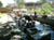 IMGP0413