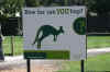 Dscn0320k.jpg (44191 bytes)