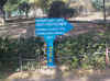 dcp00923k.jpg (131112 bytes)